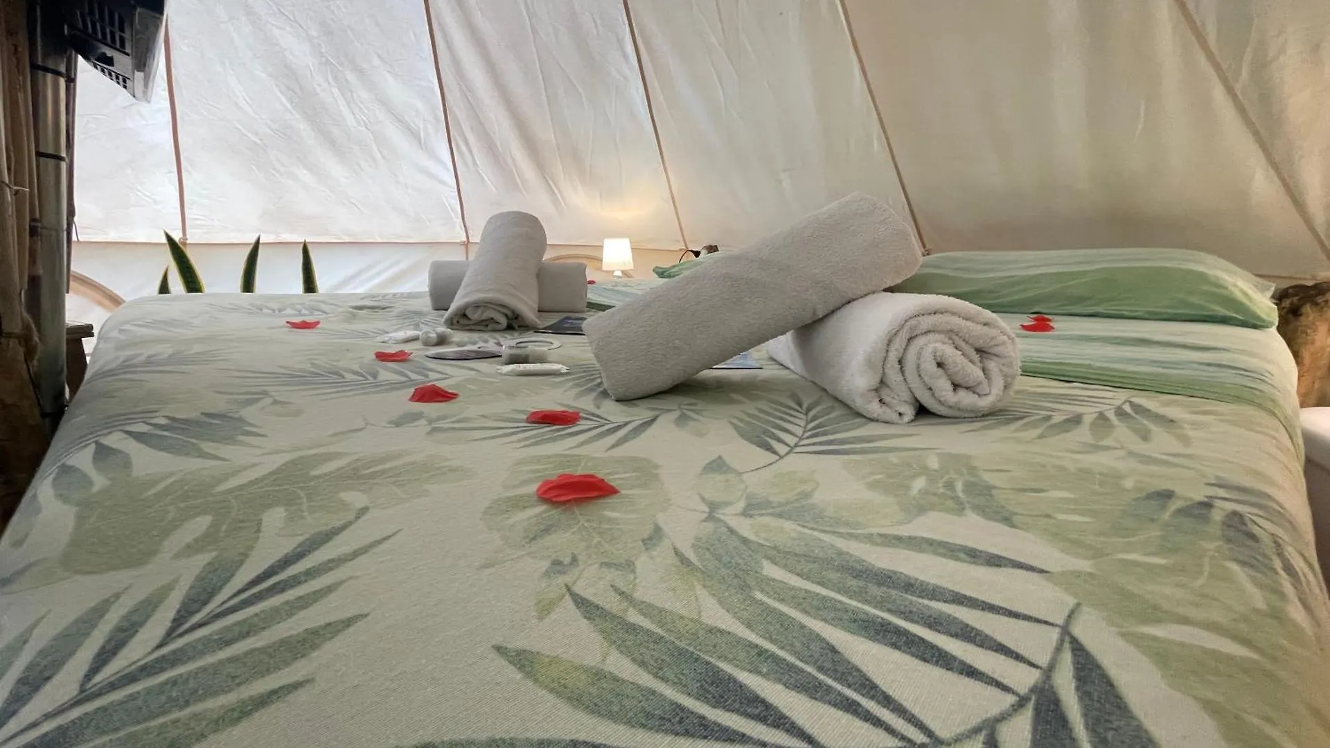 Re Dream Suite A Tema - Rapallo