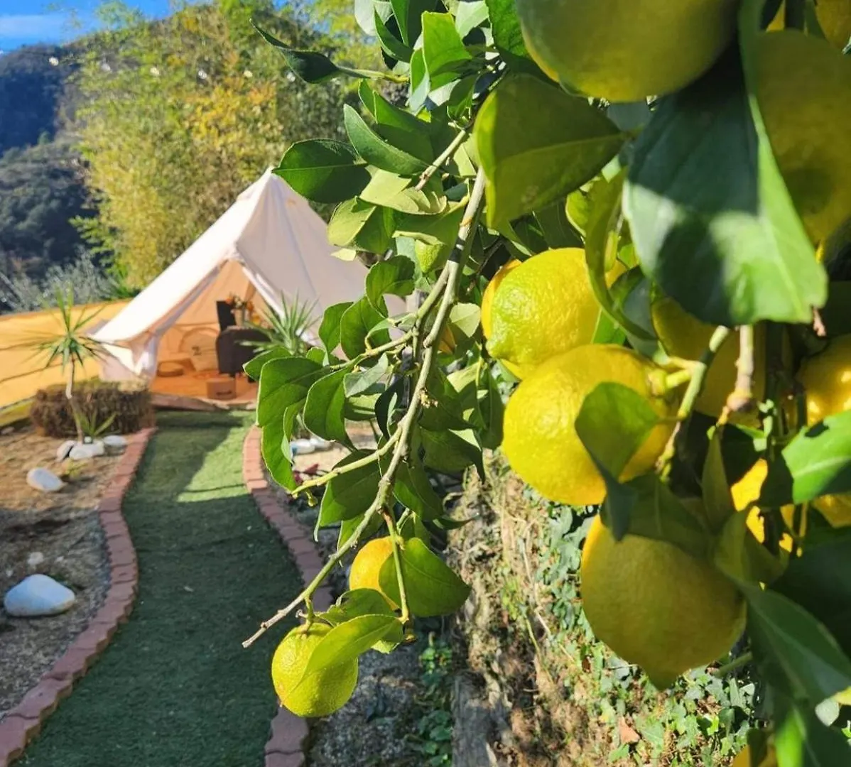 Re Dream Suite A Tema - Rapallo Bed & Breakfast